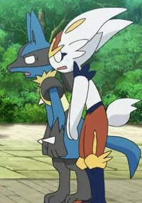 Lucario N Cinderace