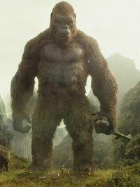 King kong