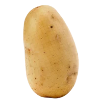 Potato
