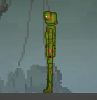 Melons So Called Bro