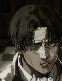 Levi Ackerman