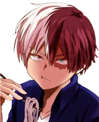 Shoto Todoroki