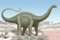 Apatosaurus