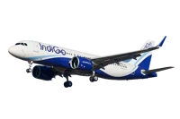 Working at Airbus RP