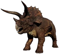Triceratops