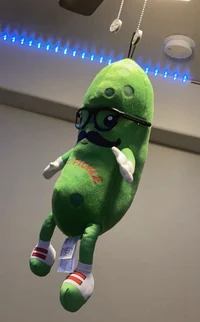 Mr Pickle