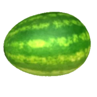 Melon