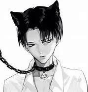 Levi Kitty