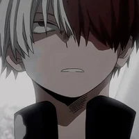 Shoto todoroki
