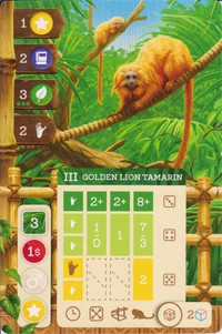 Golden Lion Tamarin
