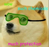 Dr professor doge 