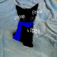 Cat Error