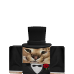 Theepikballer Roblox