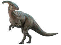 V3 parasaurolphus 