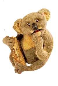 Flora the Koala