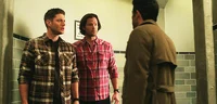 Team Free Will