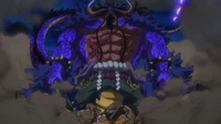 Kaido