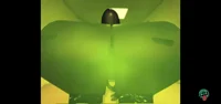 Gassy bacteria
