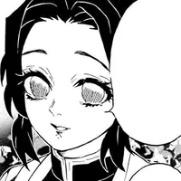 DS Shinobu Kocho