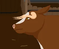 Caramel the Cow