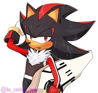 Shadow The Hedgehog
