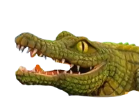 Frankie Crocodile