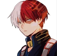 Shoto Todoroki