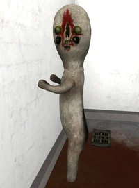Scp 173