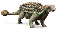 Ankylosaurus