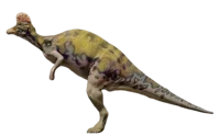Corythosaurus