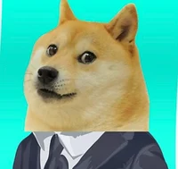 Doge spy