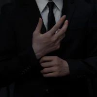 Billionaire Husband