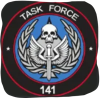 Grupo de trabajo 141