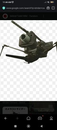 Strider cameraman