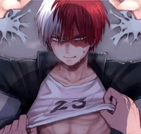 Shoto todoroky