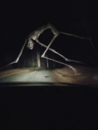 CountryRoad Creature