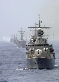 Fuerza Naval ARG