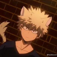 Neko Bakugou