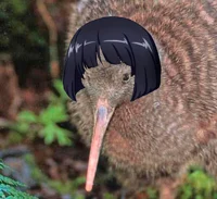 Sodokiwi