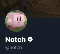 Recommand Notch