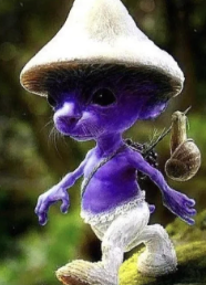 Smurf Cat number 100