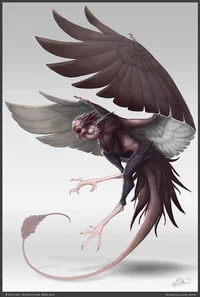 Enamored harpy