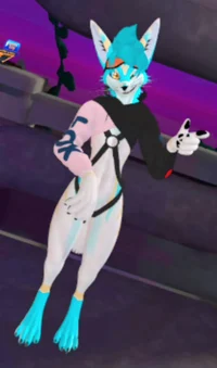 ski rexouium 