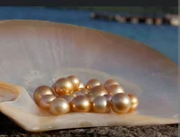Golden Sea Pearl