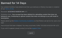 Roblox 14 Day Ban