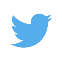 Twitter Bird