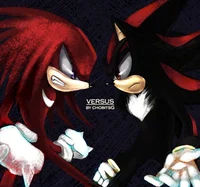 Knuckles and Shadow