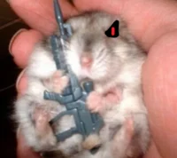 Cursed Hamster