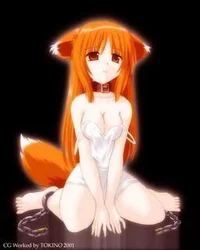 Fox slave