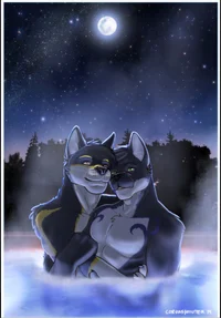 gay furry couple 